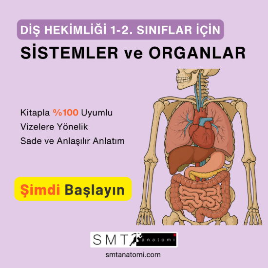 Diş Hek. 1-2'ler için Sistemler ve Organlar resmi