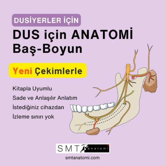 DUS için Anatomi Baş Boyun resmi