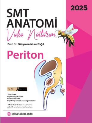 PERİTON - Embriyoloji Destekli - E-kitap resmi