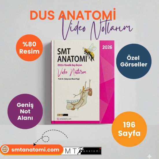 SMT DUS Anatomi Kitabı - Video Notlarım resmi