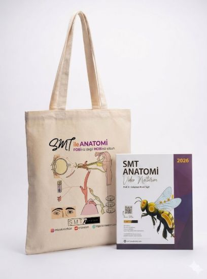 SMT Anatomi Kitabı - Video Notlarım - Kanvas Kumaş Taşıma Çantalı resmi